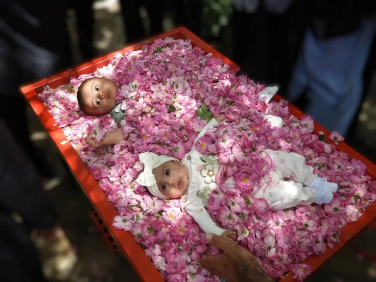 ثبت ملی آیین سنتی-فرهنگی گل غلتان نوزاد در قمصر