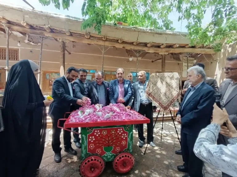 آیین گل غلتانی نوزاد در فصل گلاب‌گیری قمصر
